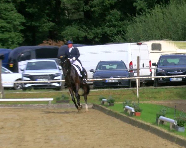 Reitturnier Dinslaken-Hiesfeld 2024