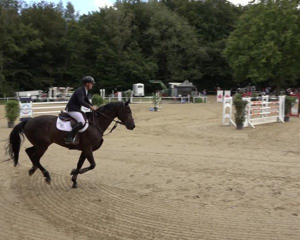 Reitturnier Dinslaken-Hiesfeld 2024