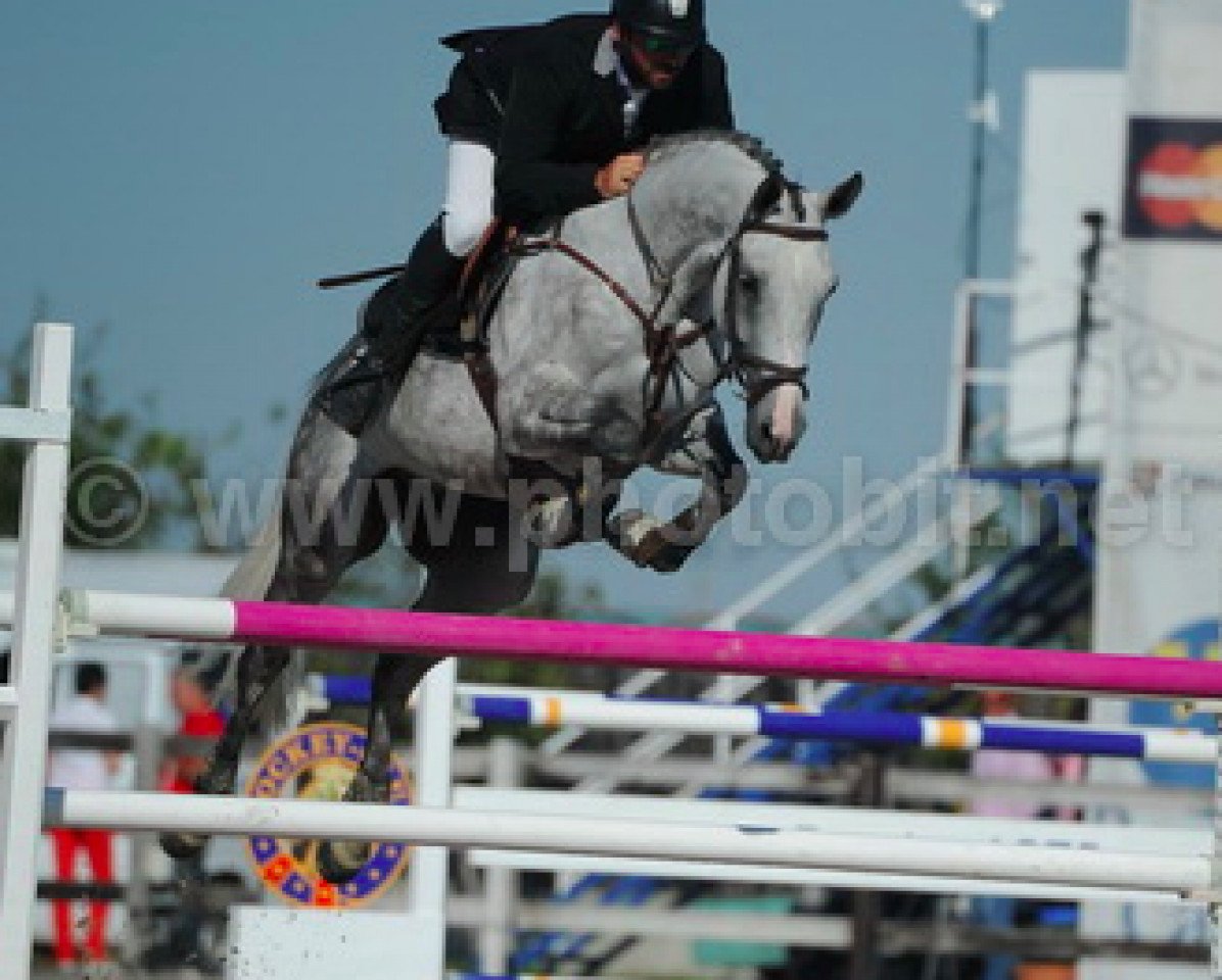 Springpferd Erania (KWPN (Niederländisches Warmblut), 2009, von Guccio)