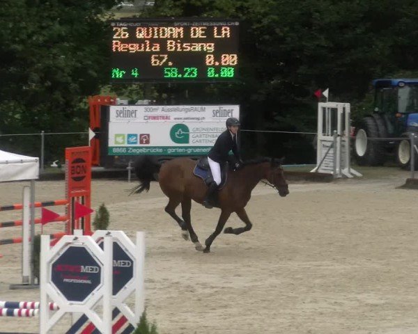 Reitturnier Maienfeld 2024