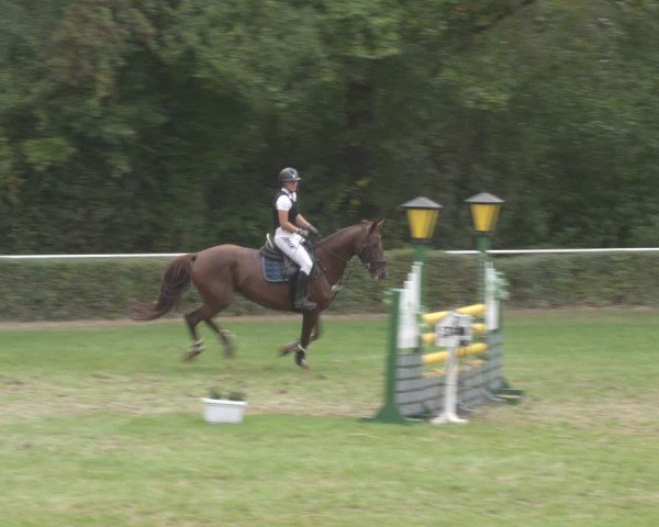 Reitturnier Westeregeln 2024