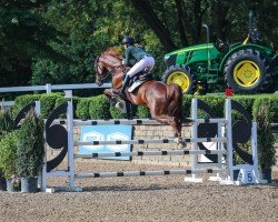 jumper Varus RS (Hanoverian, 2014, from Valentino)