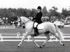 broodmare Fleur van de Puye (Nederlands Rijpaarden en Pony, 1979, from Ramano)