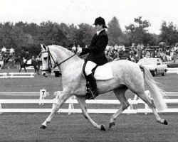 broodmare Fleur van de Puye (Nederlands Rijpaarden en Pony, 1979, from Ramano)