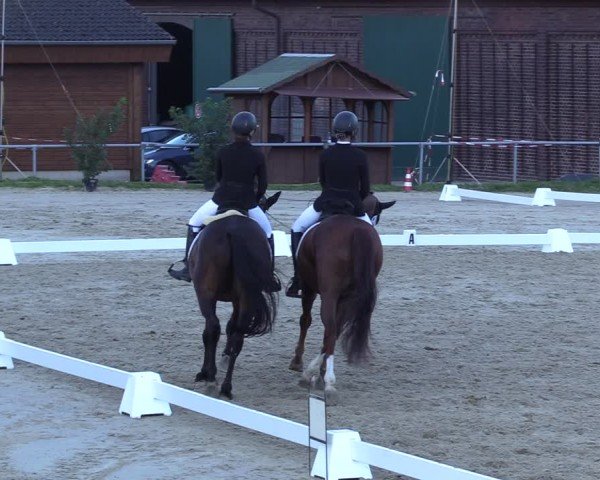 Reitturnier Dortmund-Barop 2024