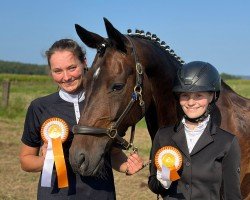 dressage horse Lissabon 67 (German Riding Pony, 2010, from Lucky Strike)