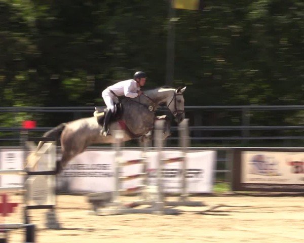Reitturnier Lgl.-Oberhain, B95 2024