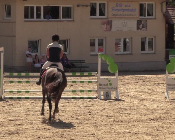 Reitturnier Lgl.-Oberhain, B95 2024
