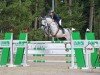 jumper Masterclass (KWPN (Royal Dutch Sporthorse), 2017, from Dallas VDL Z)