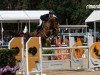 jumper Cordijana 5 (Hanoverian, 2019, from Chacfly PS)