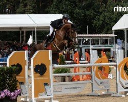 jumper Cordijana 5 (Hanoverian, 2019, from Chacfly PS)