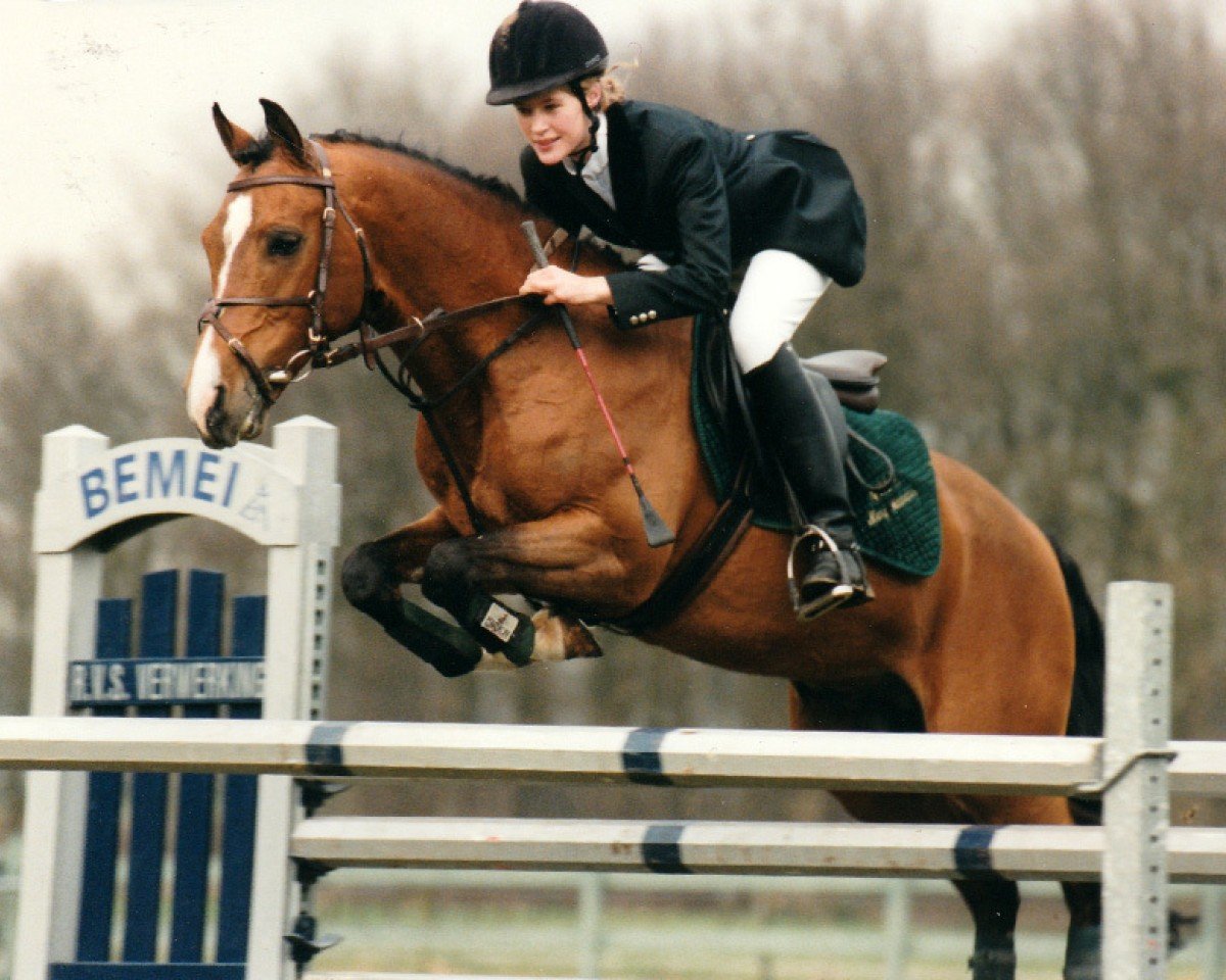 Deckhengst King Kadanz (Nederlands Rijpaarden en Pony, 1990, von Kenaf)