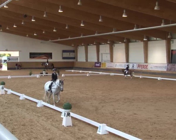 Reitturnier München-Riem/Obb. 2024