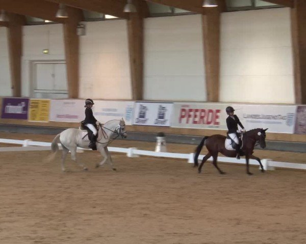 Reitturnier München-Riem/Obb. 2024