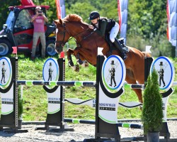 Springpferd Arpege de Gesto CH (Schweizer Warmblut, 2008, von Arpege Pierreville)