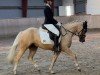 Springpferd Magretens Ciek mol Cala (Deutsches Reitpony,  , von FS Chacco Blue)