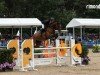 jumper Coleman 8 (Hanoverian, 2019, from Chacfly PS)