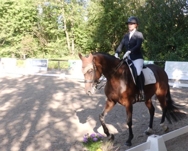 Reitturnier Leonberg 2024