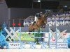 jumper Casdino Kbs (Swiss Warmblood, 2015, from Casdorff)