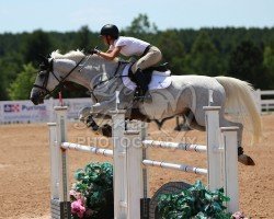 jumper Carel Fortuna (KWPN (Royal Dutch Sporthorse), 2007, from Colandro)