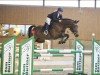 broodmare Limette 9 (German Sport Horse, 2010, from Casdorff)