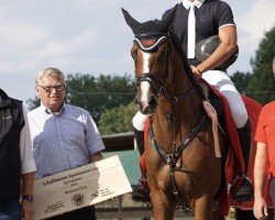 broodmare Carolina 48 (German Sport Horse, 2013, from Casdorff)