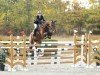 jumper Lune de Miel Bmg (KWPN (Royal Dutch Sporthorse), 2016, from Latour VDM)