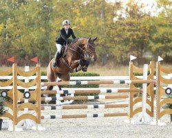 jumper Lune de Miel Bmg (KWPN (Royal Dutch Sporthorse), 2016, from Latour VDM)