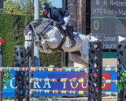 jumper Funky Malone (German Sport Horse, 2018, from Vingino)