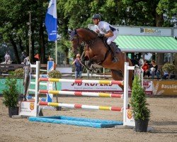 broodmare Casey FM (Oldenburg show jumper, 2018, from Casallco)