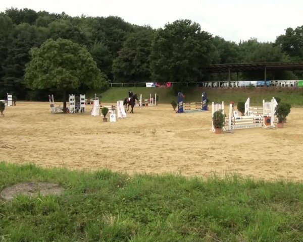 Sommerturnier Dülken-Viersen 2013