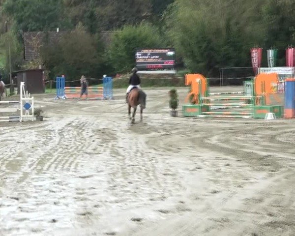 Reitturnier Tillmitsch 2024