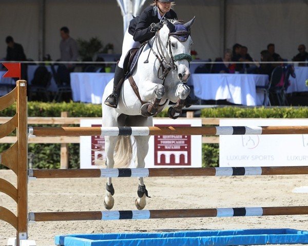 jumper Christine (Bulgarian Warmblood, 2012)