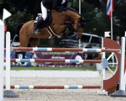 broodmare Charibothaga (Oldenburg show jumper, 2014, from Chacco-Blue)