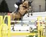 jumper Con Carthago (German Sport Horse, 2011, from Conthargos)