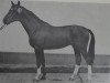 stallion Garant 1418 (Noble Warmblood, 1980, from Guam 3192)