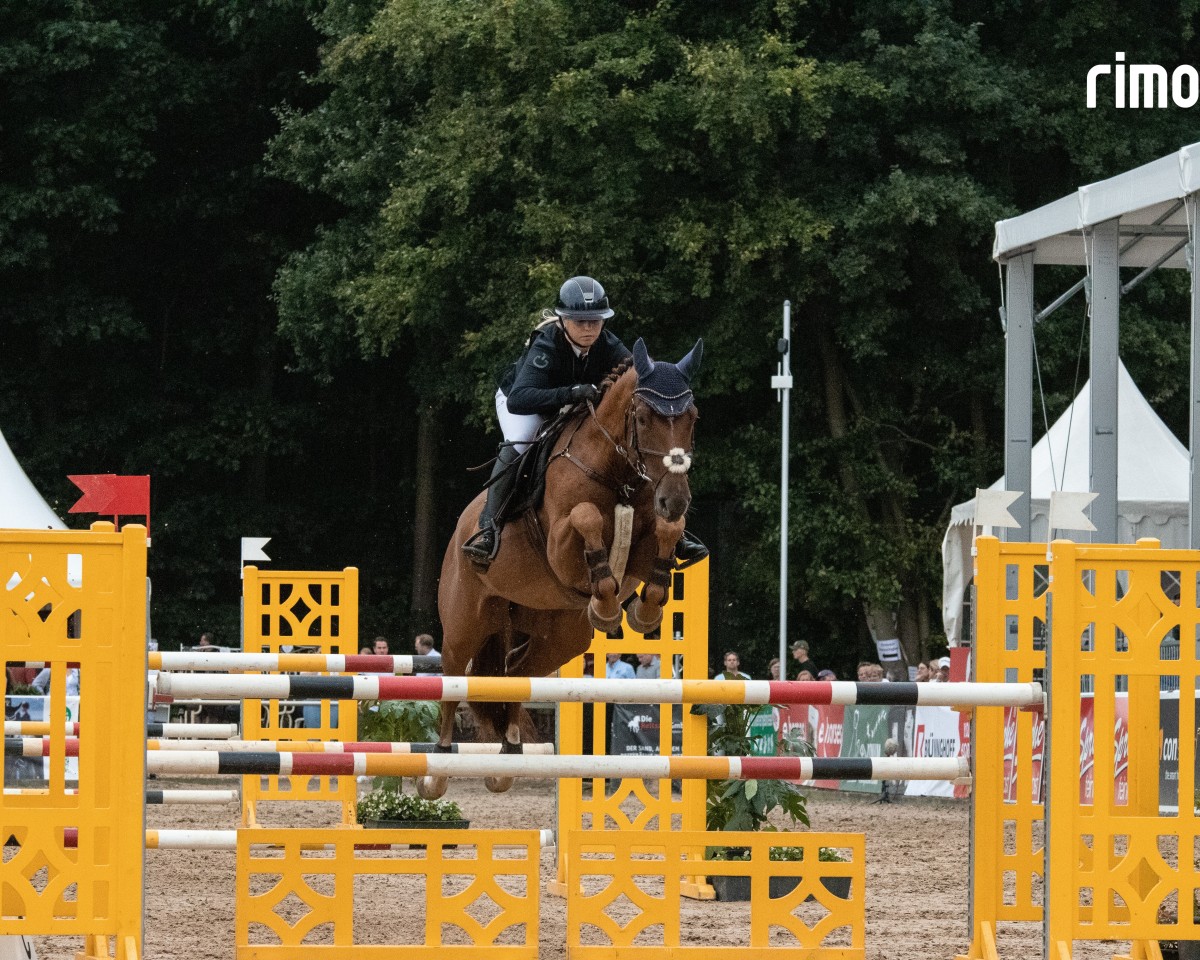 jumper Index Bf (Hanoverian, 2019, from I'm Special de Muze)
