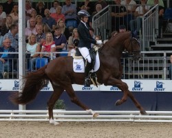 dressage horse Vienna Ninja (Hanoverian, 2021, from Viva Gold OLD)