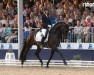 dressage horse Du weißt schon wer 2 (Westphalian, 2021, from Dynamic Dream)