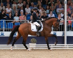 dressage horse Eindrucksvoll (Holsteiner, 2021, from Escolar)