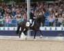 dressage horse Barocco GS (German Sport Horse, 2021, from Bon Voyage)