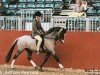 stallion Ernford Bellboy (Welsh-Pony (Section B), 1989, from Tetworth Mikado)