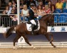 stallion Great Gatsby KW (German Riding Pony, 2020, from Golden Grey NRW)