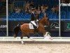 dressage horse Craig 11 (German Riding Pony, 2019, from Kastanienhof Cockney Cracker)