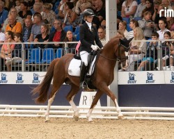 stallion Bon Coeur U (German Riding Pony, 2020, from Belissimo HS)