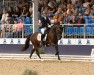 dressage horse Wojnar Nothing Compares (German Riding Pony, 2020, from Notting Hill 2)