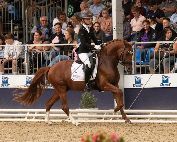 dressage horse Cracker de Luxe WE (German Riding Pony, 2020, from Cooper County WE)