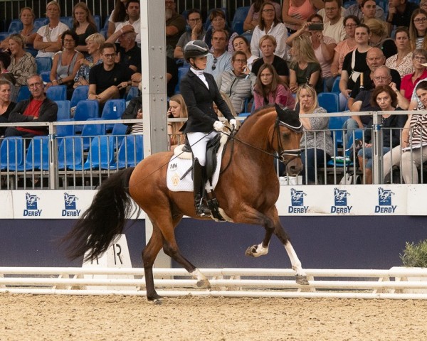 dressage horse Dynamic Date AT (German Riding Pony, 2020, from Dating At NRW)