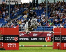 jumper Cabelensky Z (Zangersheide riding horse, 2015, from Cornet Obolensky)