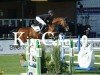 jumper Chuemli (Oldenburg show jumper, 2012, from Comme il Faut)